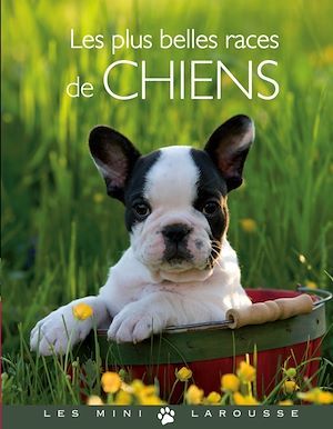 Couverture ebook de Les plus belles races de chiens, de Brigitte Bulard-Cordeau