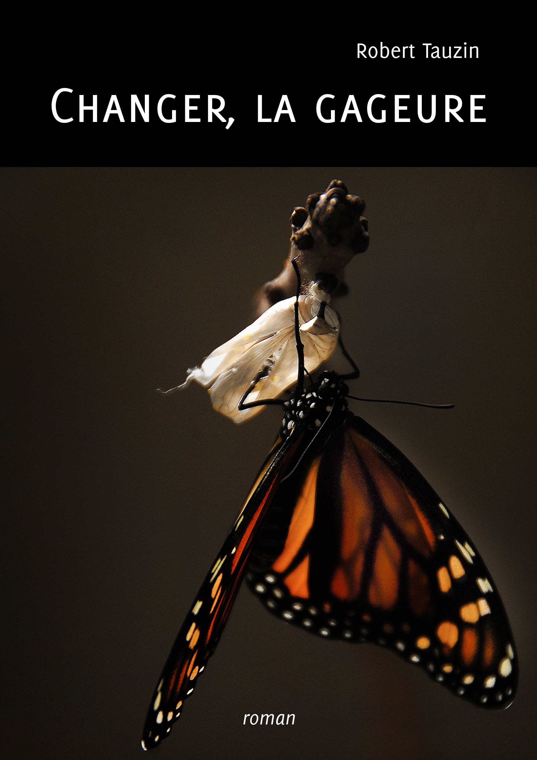 Couverture ebook de Changer, la gageure, de Robert Tauzin