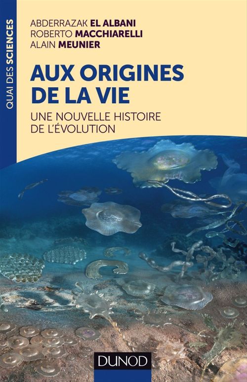 Couverture ebook de Aux origines de la vie, de Abderrazak El albani, Roberto Macchiarelli, Alain Meunier
