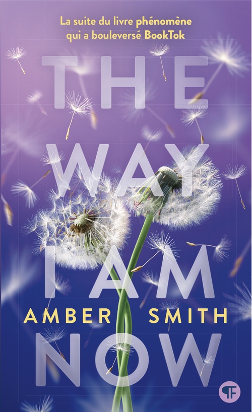 Couverture ebook de The Way I am now, de Amber Smith