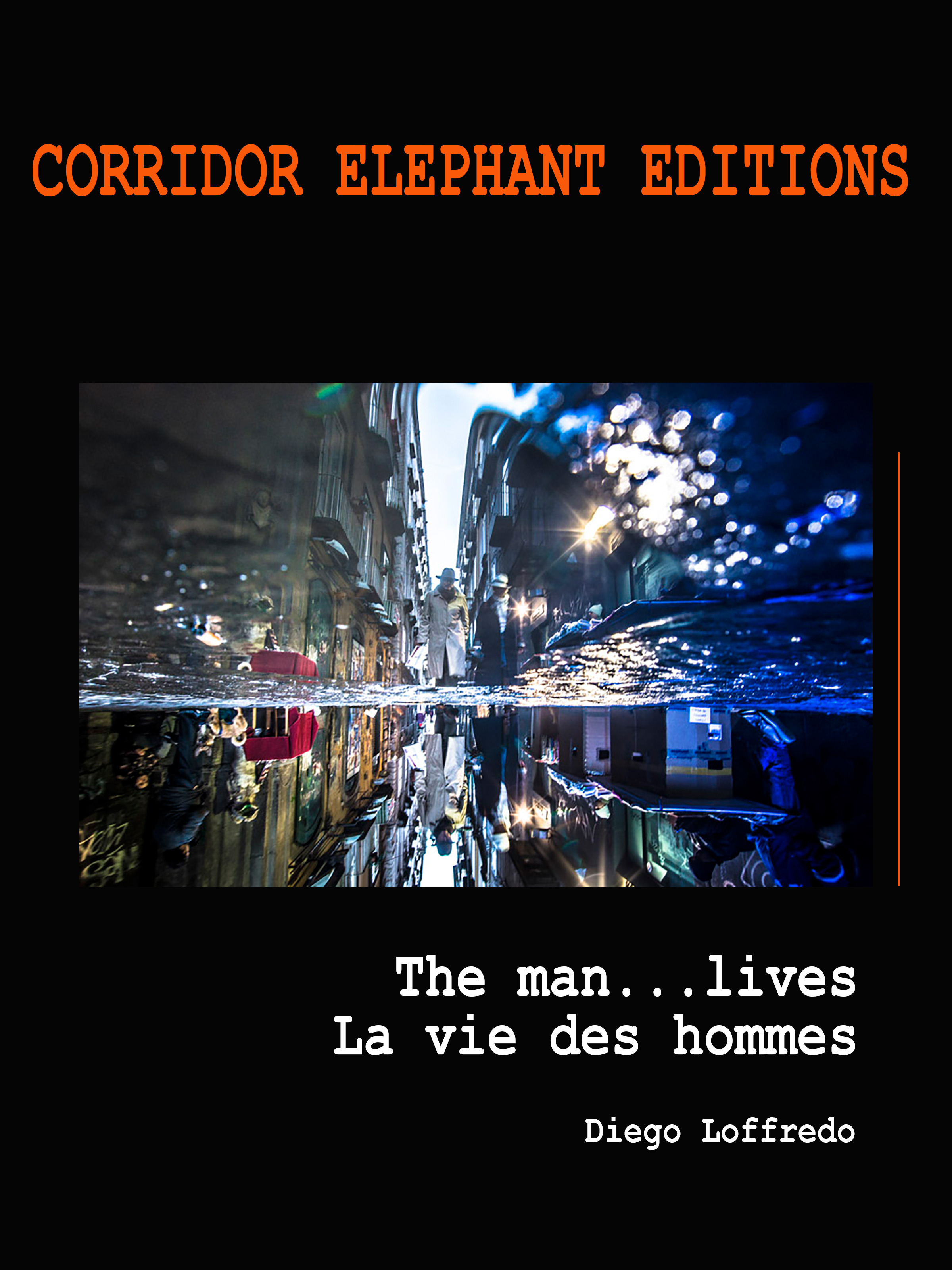 ebook cover of La vie des hommes, by Diego Loffredo