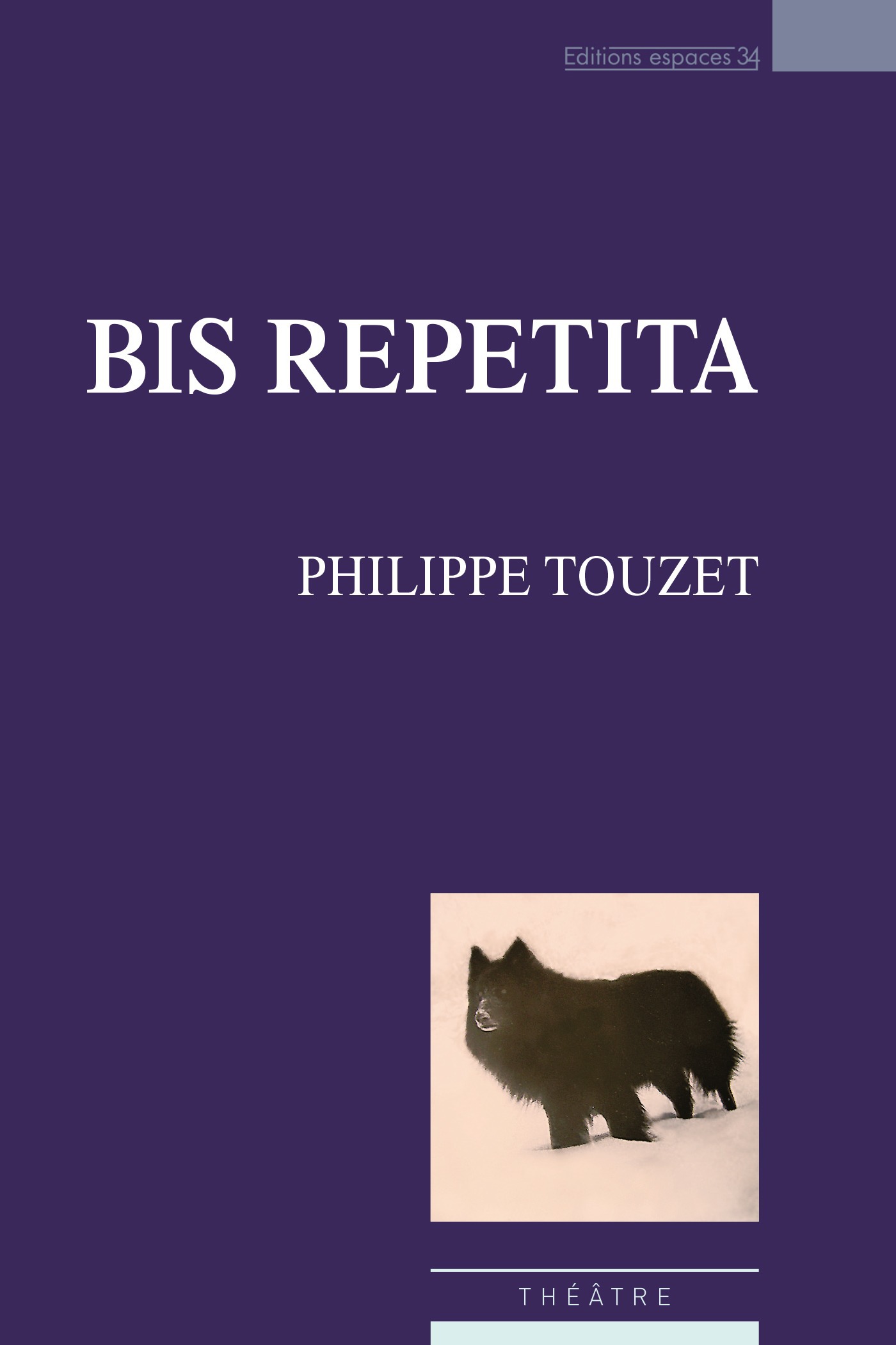 ebook cover of Bis repetita, by Philippe Touzet