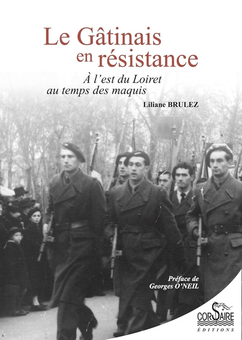 ebook cover of Le Gâtinais en résistance, by Liliane Brulez
