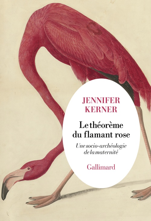 ebook cover of Le théorème du flamant rose, by Jennifer Kerner