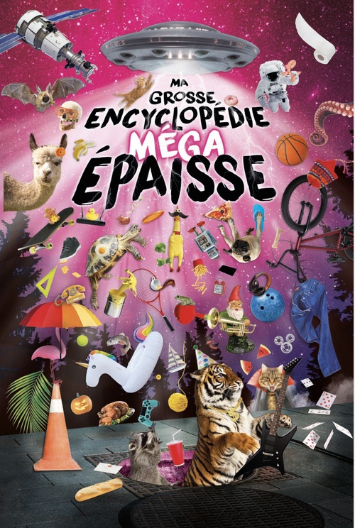 Couverture ebook de Ma grosse encyclopédie méga épaisse, de Daniel Brouillette