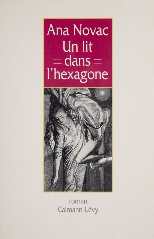 ebook cover of Un lit dans l'Hexagone, by Novac