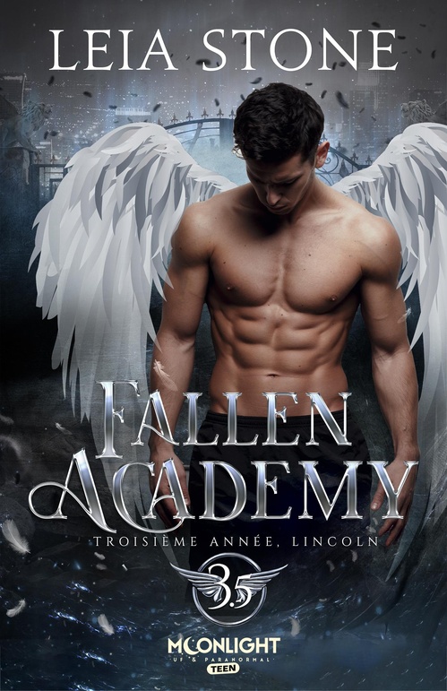 ebook cover of Troisième année, Lincoln, by Leia Stone