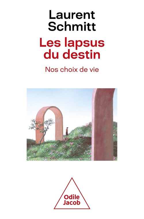 Couverture ebook de Les Lapsus du destin, nos choix de vie, de Laurent Schmitt