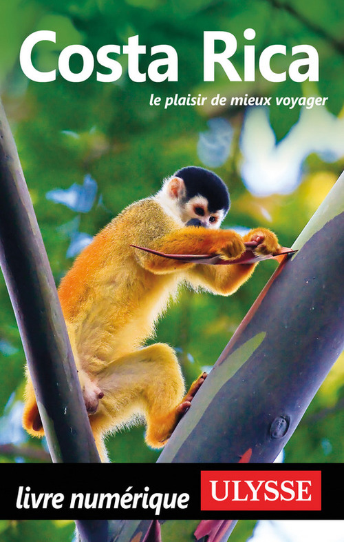 ebook cover of Costa Rica, by Collectif