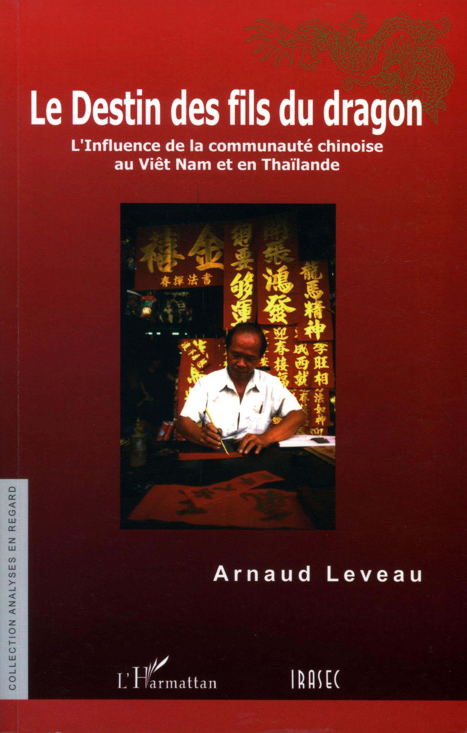 Couverture ebook de Le Destin des fils du dragon, de Arnaud Leveau