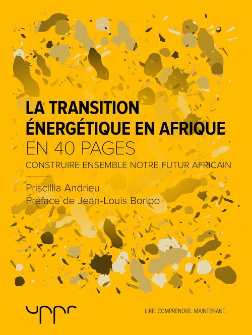 ebook cover of La transition énergétique en Afrique, by Priscillia Andrieu