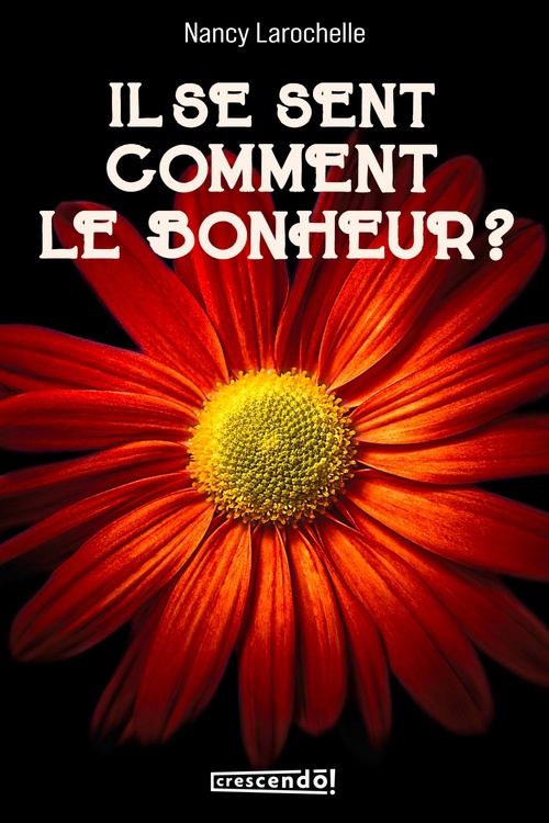 Couverture ebook de Il se sent comment le bonheur?, de Nancy Larochelle