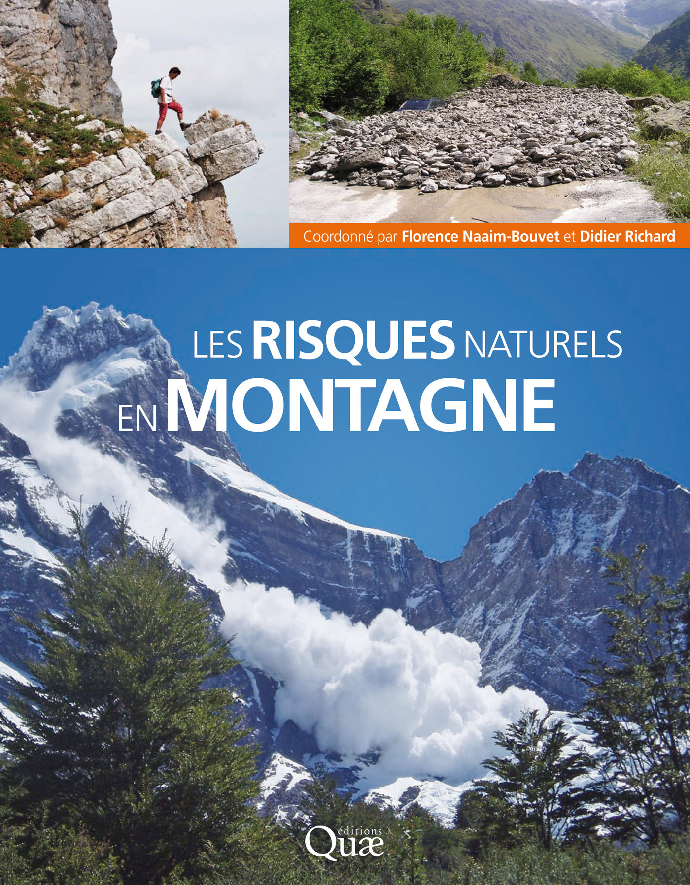 Couverture ebook de Les risques naturels en montagne, de Florence Naaim-bouvet, Didier Richard