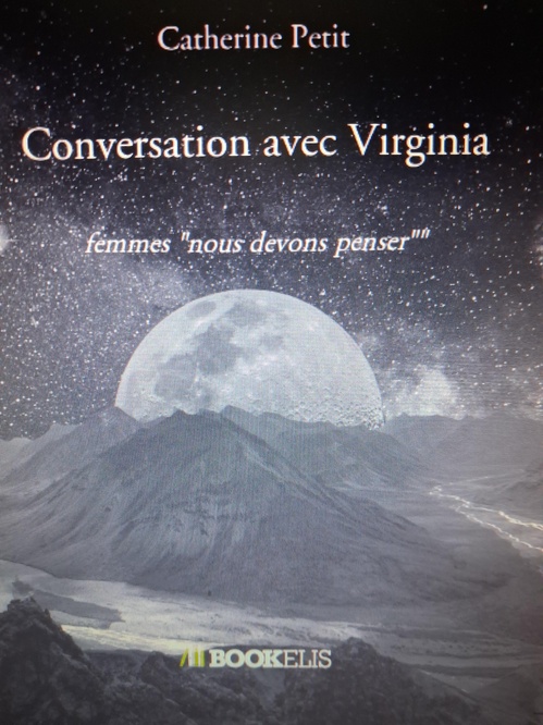 ebook cover of Conversation avec Virginia, by catherine Petit