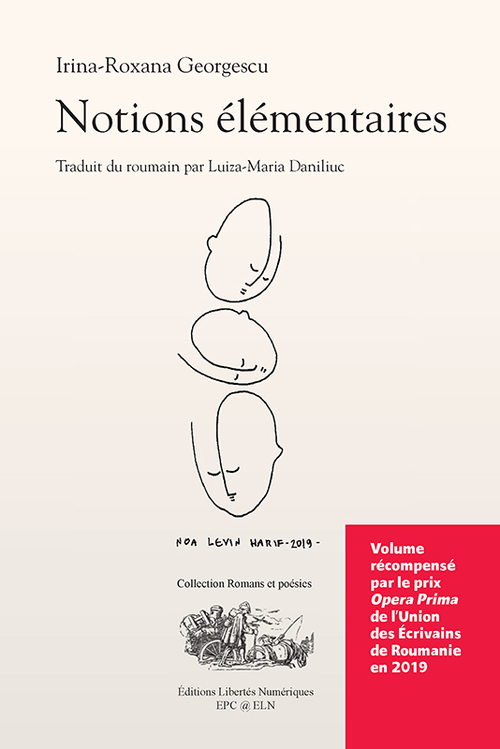 Couverture ebook de NOTIONS ÉLÉMENTAIRES, de Irina-Roxana Georgescu