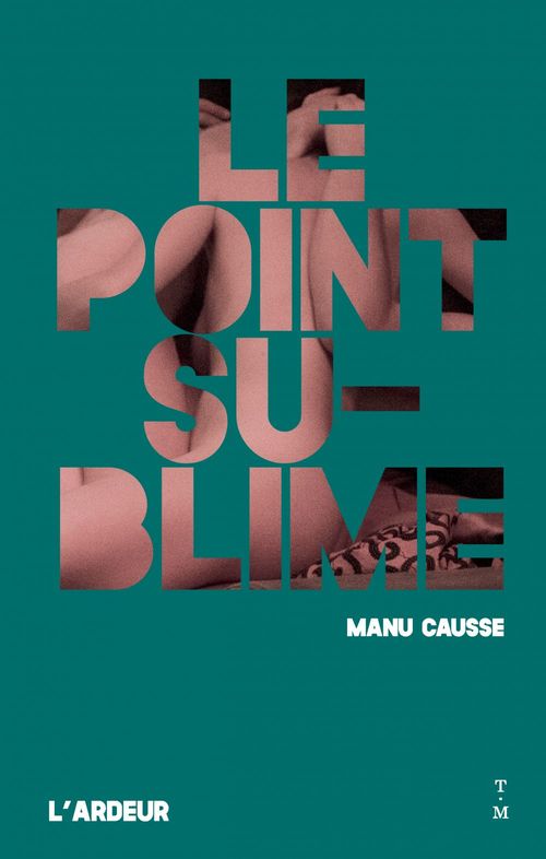 Couverture ebook de Le point sublime, de Manu Causse