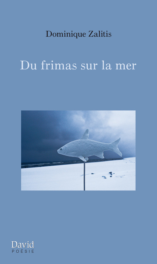 Couverture ebook de Du frimas sur la mer, de Zalitis Dominique