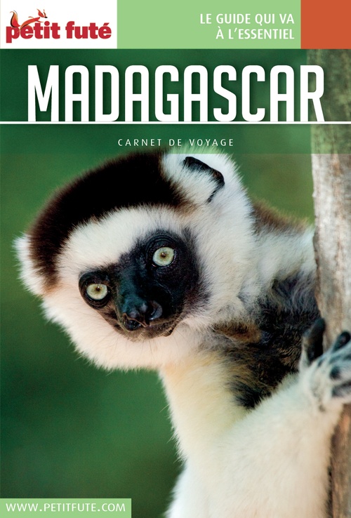 ebook cover of MADAGASCAR 2016/2017 Carnet Petit Futé, by Collectif petit futé