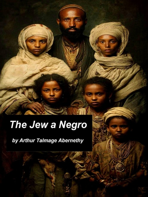 Couverture ebook de The Jew a Negro: Being a Study of the Jewish Ancestry from an Impartial Standpoint, de Arthur Talmage Abernethy