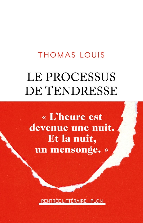ebook cover of Le Processus de tendresse, by Thomas Louis