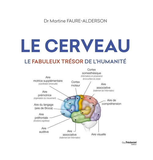 Couverture ebook de Le cerveau - Le fabuleux trésors de l'humanité, de Martine Faure-alderson