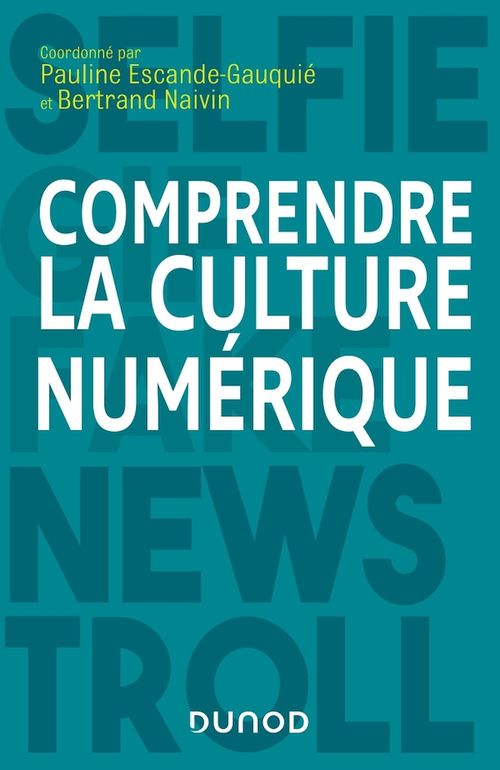 ebook cover of Comprendre la culture numérique, by Collectif, Pauline Escande-gauquié, Bertrand Naivin