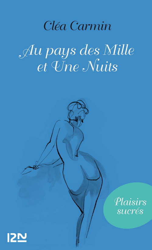 ebook cover of Au pays des Mille et une Nuits, by Cléa Carmin