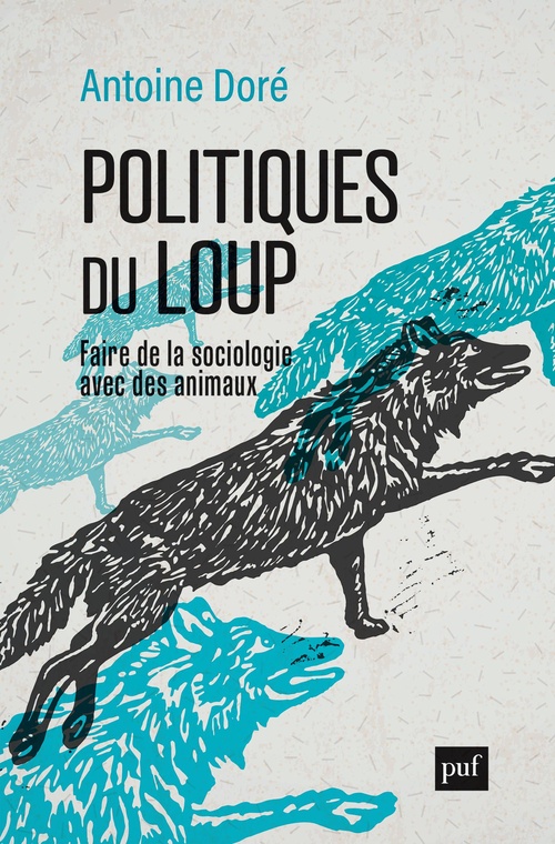 ebook cover of Politiques du loup : Faire de la sociologie avec des animaux, by Antoine Doré