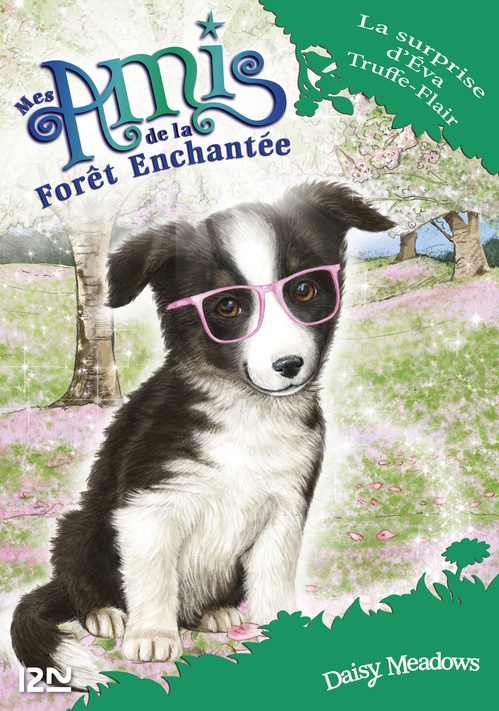 ebook cover of Mes amis de la forêt enchantée - tome 10 La surprise d'Eva Truffe-Flair, by Daisy Meadows
