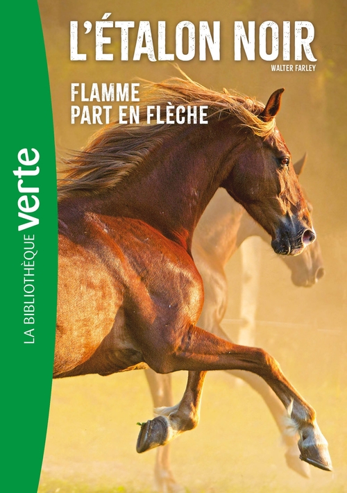ebook cover of L'Etalon Noir NED 12- Flamme part en flèche, by Walter Farley