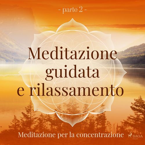 audiobook cover of Meditazione guidata e rilassamento (parte 2) - Meditazione per la concentrazione, by Trine Holt Arnsberg