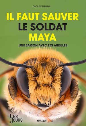 Couverture ebook de Il faut sauver le soldat Maya, de Cécile Cazenave