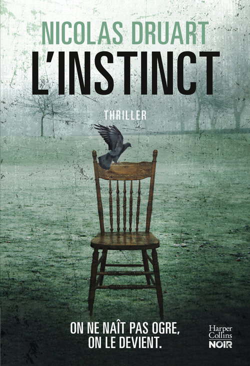 ebook cover of L'Instinct, by Nicolas Druart