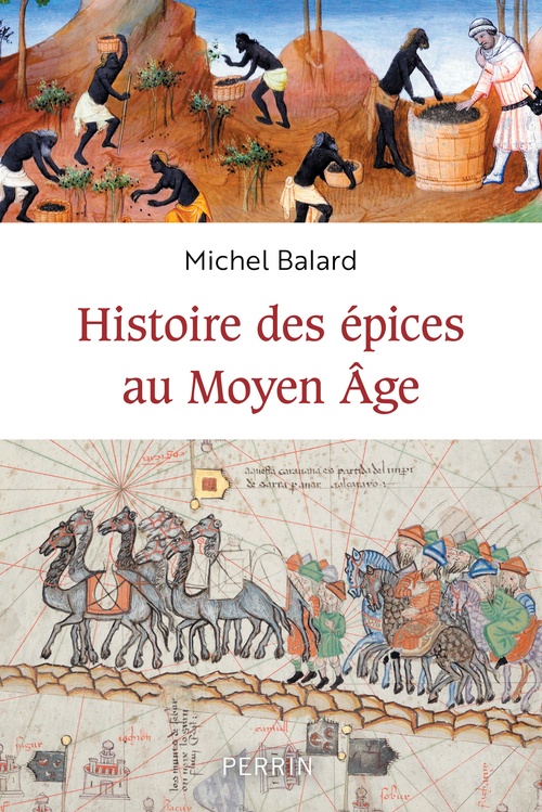 Couverture ebook de Histoire des épices au Moyen-âge, de Michel Balard