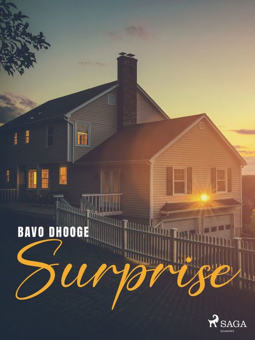 Couverture ebook de Surprise, de Bavo Dhooge