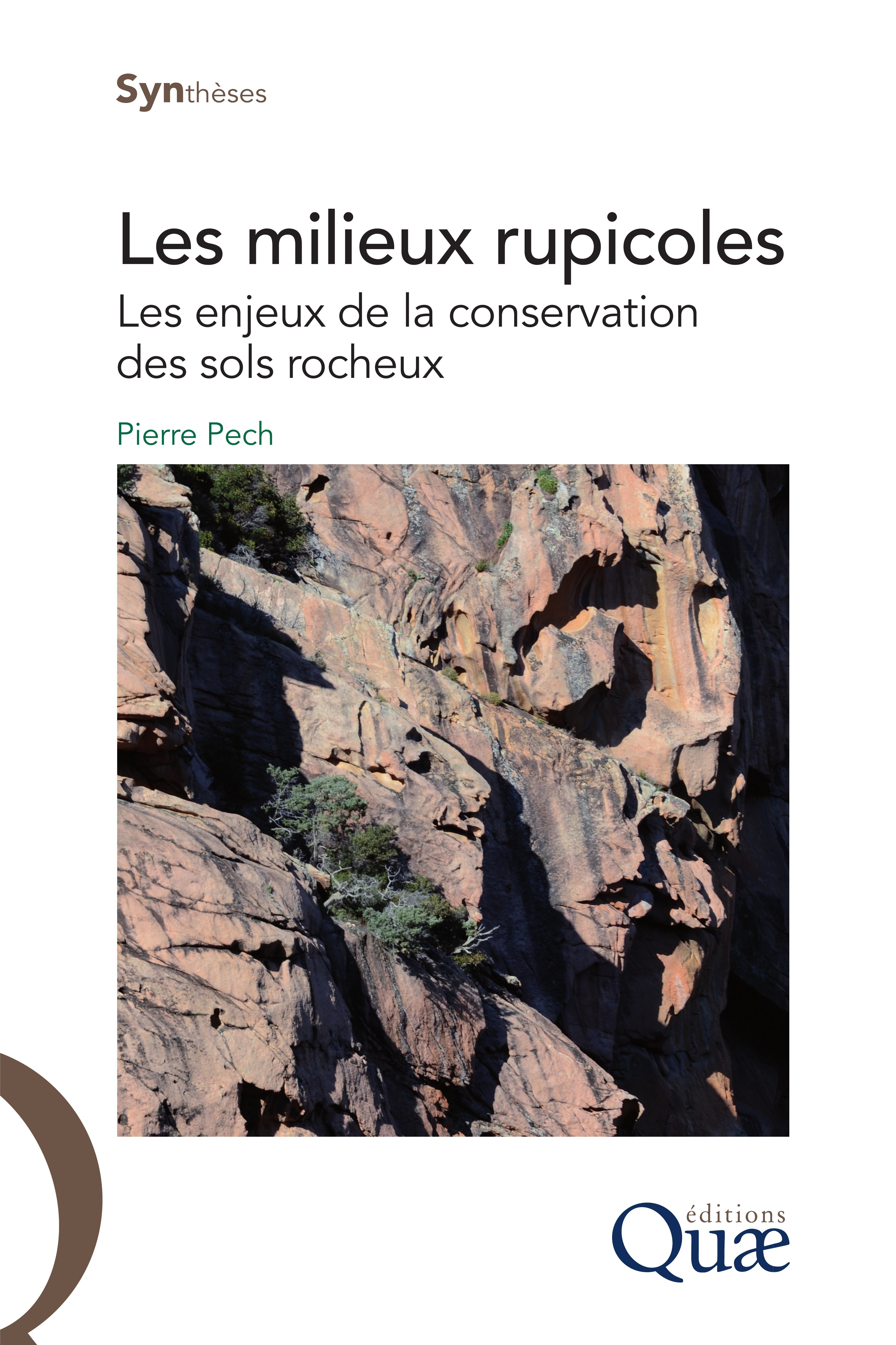 Couverture ebook de Les milieux rupicoles, de Pierre Pech