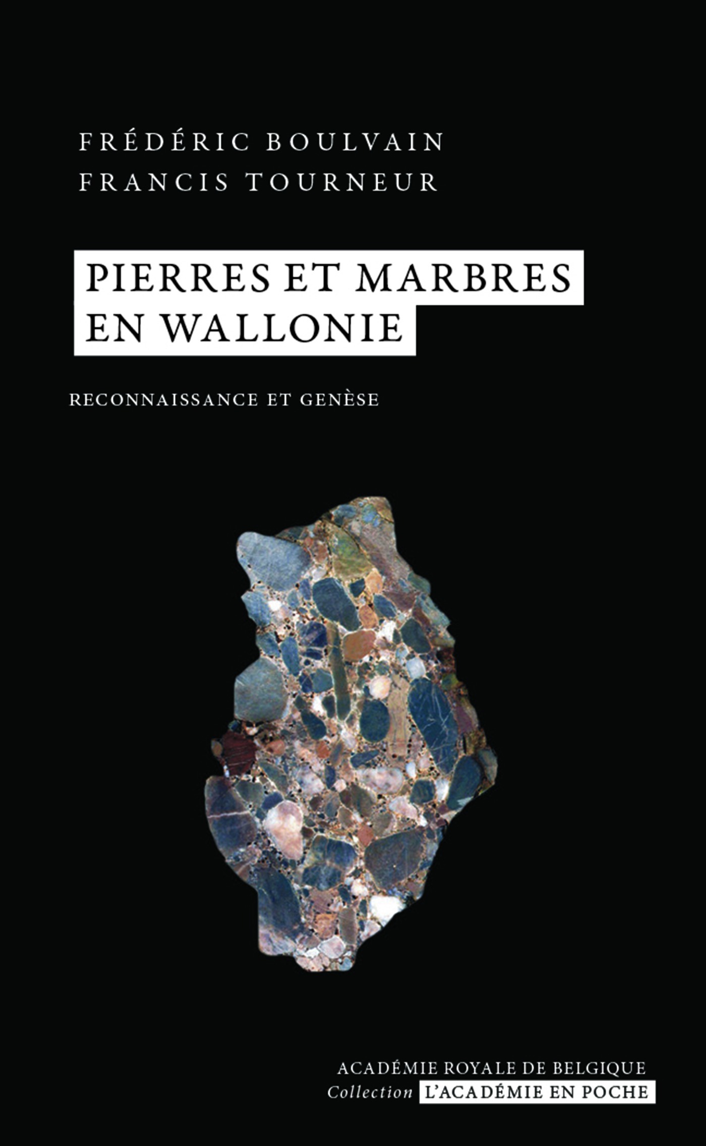 ebook cover of Pierres et marbres en Wallonie, by Frédéric Boulvain, Francis Tourneur