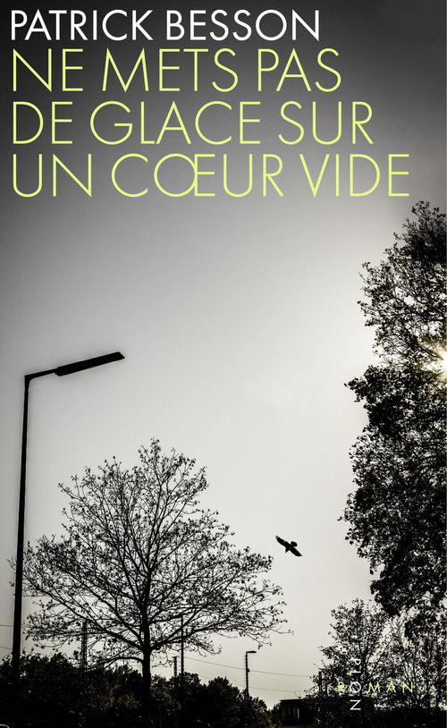 Couverture ebook de Ne mets pas de glace sur un coeur vide, de Patrick Besson