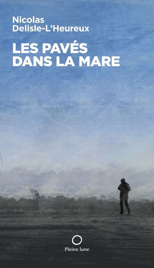 Couverture ebook de Les Pavés dans la mare, de Delisle-L'Heureux Ni