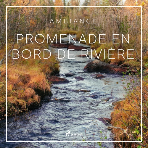 audiobook cover of Promenade en bord de rivière, by Rasmus Broe