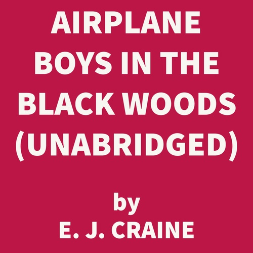 Couverture audiobook de Airplane Boys in the Black Woods (UNABRIDGED), de E. J. Craine