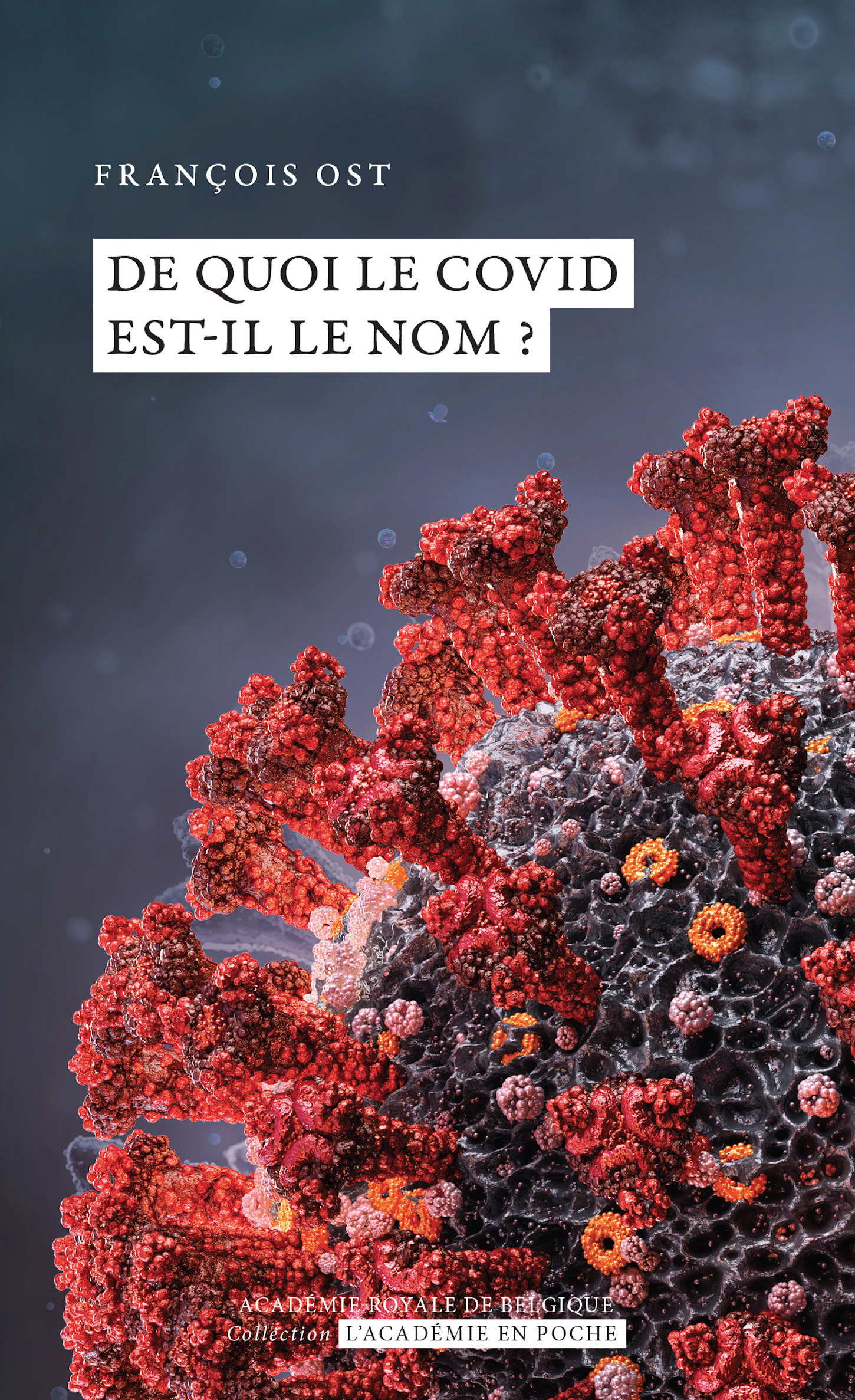 Couverture ebook de De quoi le Covid est-il le nom ?, de François Ost