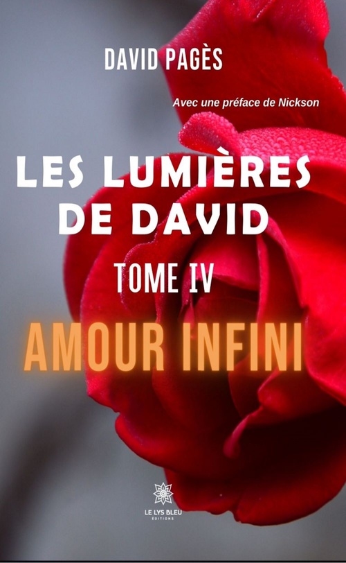 Couverture ebook de Les lumières de David - Tome 4, de David Pagès