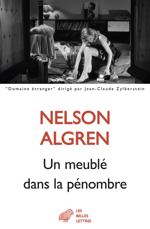 ebook cover of Un meublé dans la pénombre, by Nelson Algren