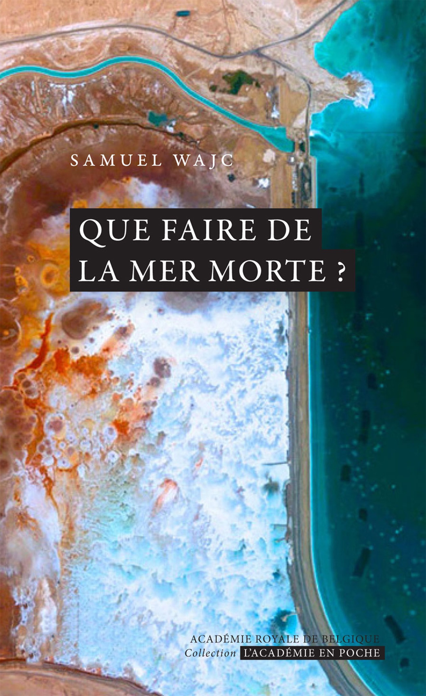 ebook cover of Que faire de la mer Morte ?, by Samuele Furfan