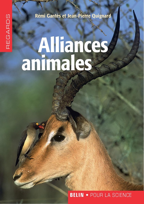 Couverture ebook de Alliances animales, de Quignard / Gantes