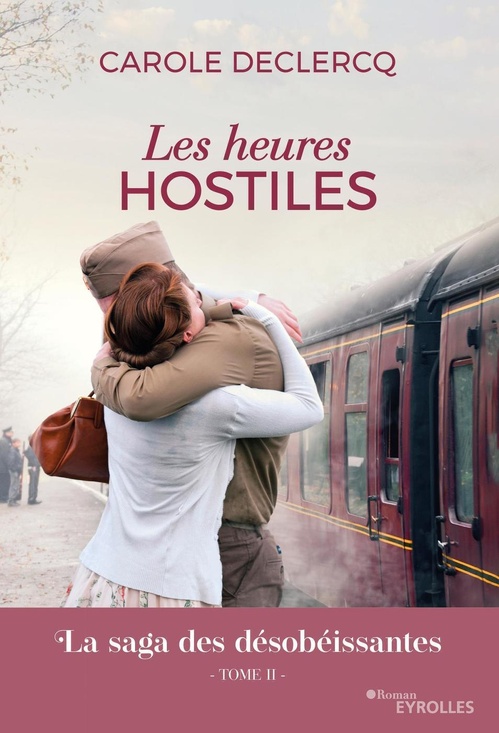 ebook cover of Les heures hostiles, by Carole Declercq