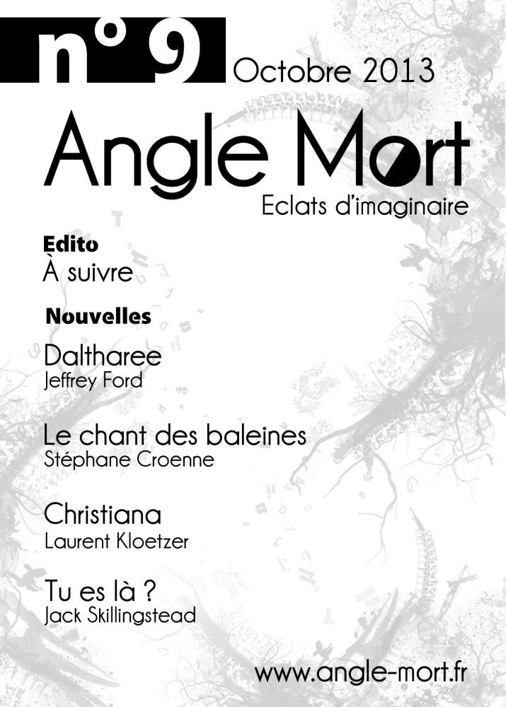 ebook cover of Angle Mort numéro 9, by Revue Angle Mort