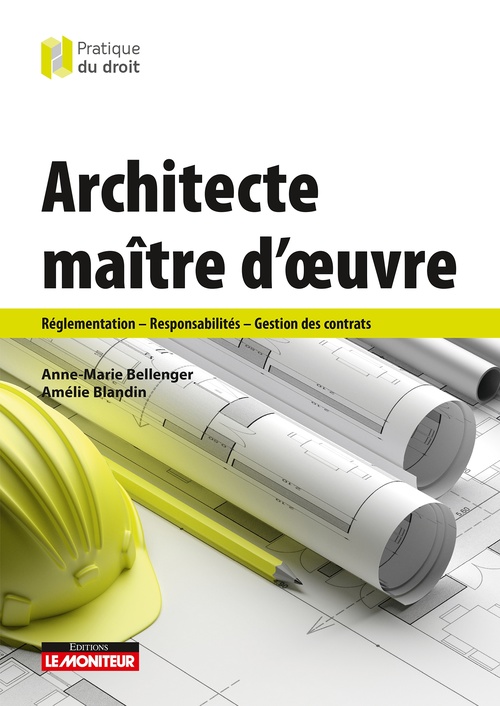 Couverture ebook de Architecte maître d'oeuvre, de Anne-Marie Bellenger, Amélie Blandin