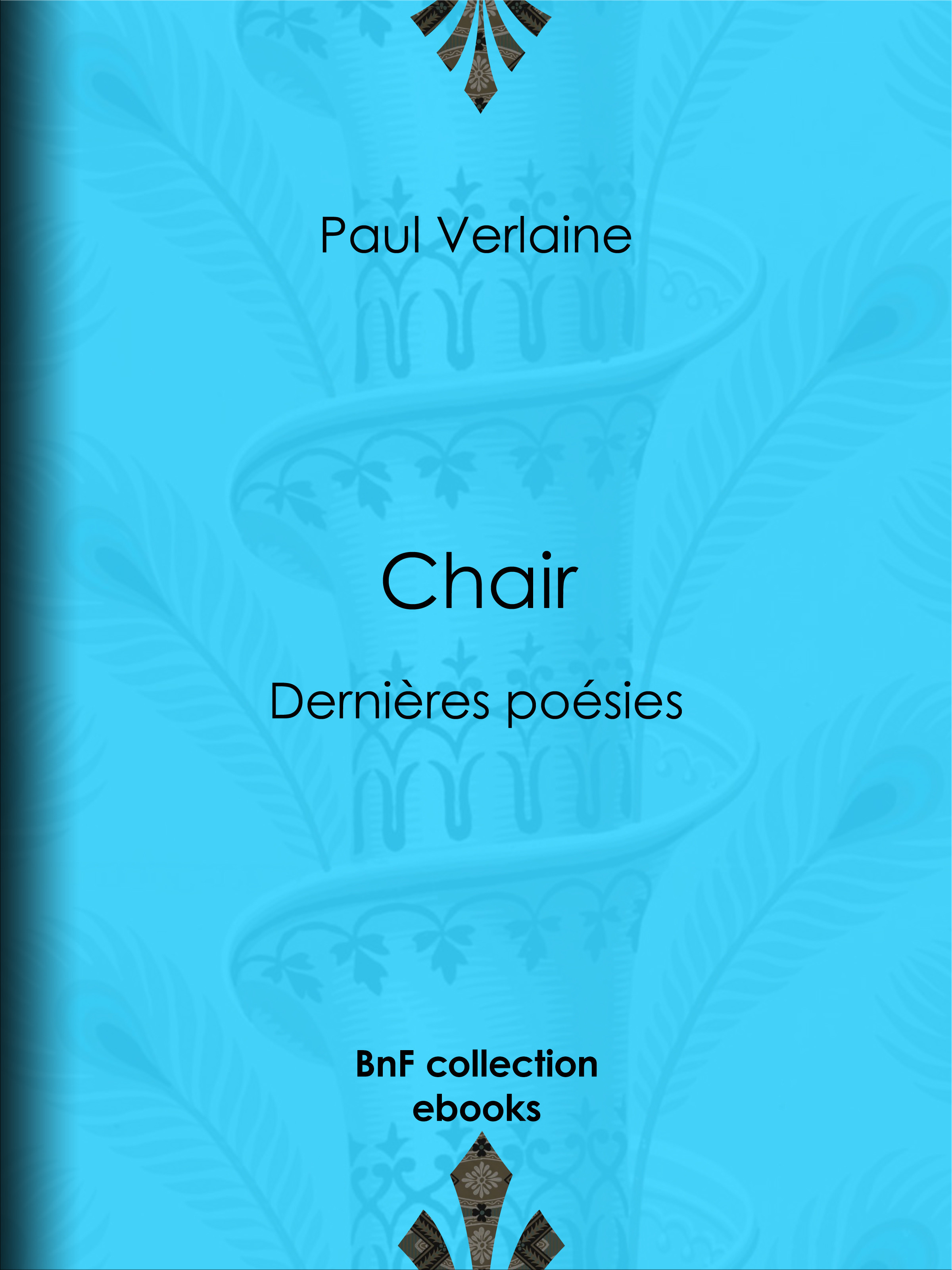 ebook cover of Chair, by Felicien Rops, Paul Verlaine